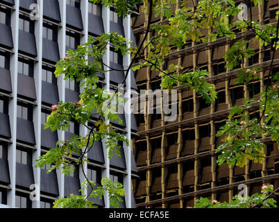 Abstrakt Architektur Fassade und Baum Zweige Stockfoto