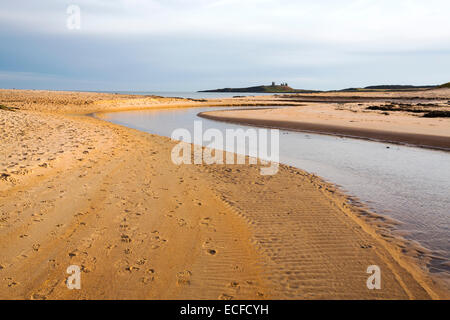 Ein Fluss in die Nordsee bei Newton Links, Northumberland, UK mit Dunstanburgh Castle im Hintergrund. Stockfoto