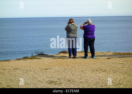 Klippe Warnschild im camp Hero State Park in Montauk NY Stockfoto