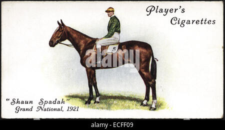 Zigarette Karte des Spielers Zigaretten mit SHAUN SPADAH Gewinner des The GRAND NATIONAL in 1921 mit Jockey Fred Rees herausgegeben von John Player & Söhnen im Jahre 1933 Stockfoto