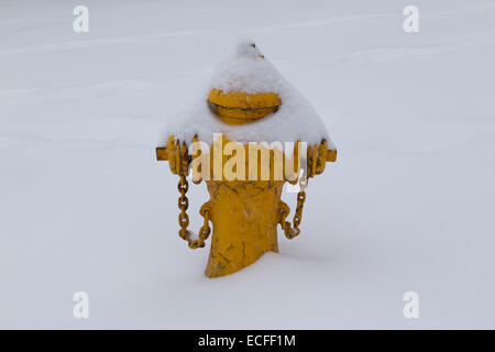 Ein Hydranten im Winter mit Schnee bedeckt. Stockfoto