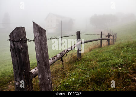 Nebligen Buchenwald am Berghang in einem Naturschutzgebiet. Stockfoto