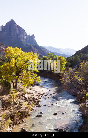 zeigen Sie auf dem Virgin River fließt in Richtung des Wächter Turms in Zion NP im Herbst an Stockfoto