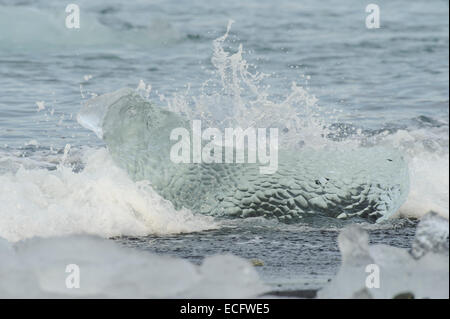 Jökulsárlón Gletscher Vatnajökull, Island, November 2012. Stockfoto