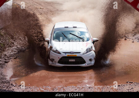 ISTANBUL, Türkei - 17. August 2014: Eytan Halfon Laufwerke Ford Fiesta R2 Auto bei Avis Bosporus Rallye, Gocbeyli Bühne Stockfoto