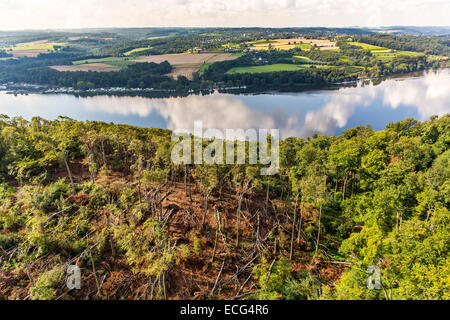 Sturmschäden im Schellenberger Wald, über den Baldeneysee, verursacht durch einen schweren Sturm Ela, über den Rhein-Ruhr-Gebiet, Stockfoto