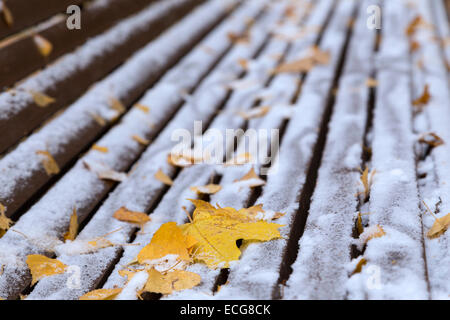 Ahorn-Blätter und Schnee auf der Bank Stockfoto