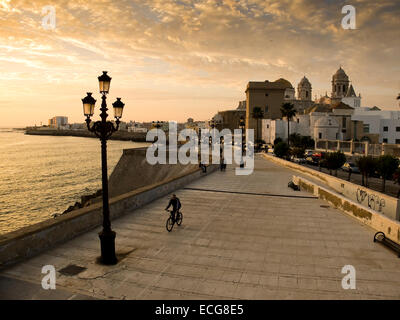 Paseo Campo del Sur und Cadiz Kathedrale La Catedral Vieja de Cadiz oder Iglesia de Santa Cruz in Cadiz genannt bei Sonnenuntergang. Andalusien Stockfoto
