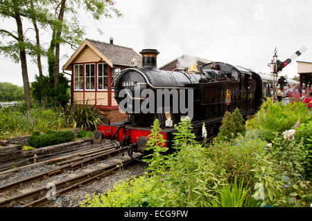 GWR-Region 0-6-0 Tank engine 6619 warten mit Personenzug von Tenterden Bahnhof abfahren Stockfoto