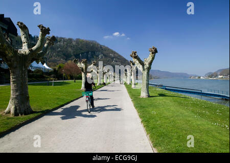 Promenade am Rhein, Andernach, Rheinland-Pfalz, Deutschland, Europa, Europa, Uferpromenade am Rhein, Andernach, Rhein Stockfoto