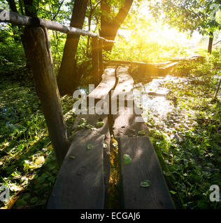 Sonne über kleine Holzbrücke im Wald Stockfoto