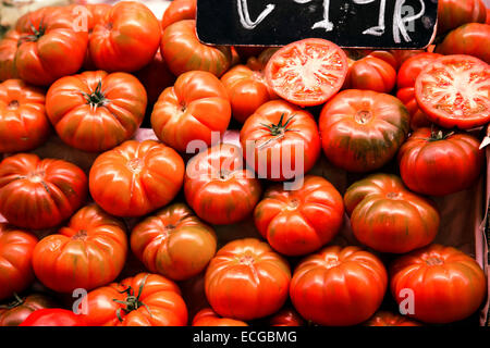 Viele Fleischtomaten auf einem Marktstand. Stockfoto