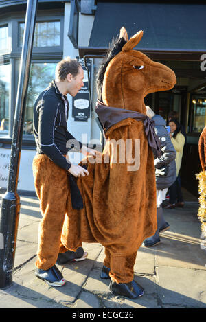 Greenwich, London, UK. 14. Dezember 2014. Das jährliche Pantomime Pferderennen findet in Greenwich zum fünften Mal. Bildnachweis: Matthew Chattle/Alamy Live-Nachrichten Stockfoto