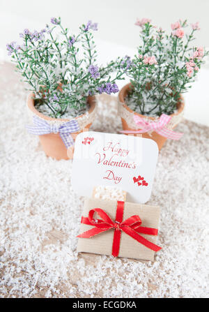 ein Geschenk liegt im Schnee mit der Nachricht happy Valentines Day. Blumen im Hintergrund Stockfoto