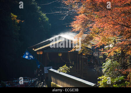 Am frühen Morgennebel steigt vom Dach Moos in Takao, Kyoto, Japan. Stockfoto