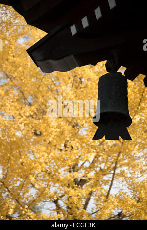 Ginkgo Blatt mit Dach-Detail Tempel in Kyoto, Japan. Stockfoto