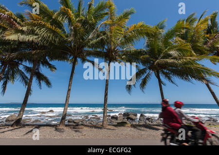 Autofahrer fahren auf einer Küstenstraße mit Kokospalmen und flachem Strand im Hintergrund, im Dorf Kotakarang, Pesisir Barat, Lampung, Indonesien. Stockfoto