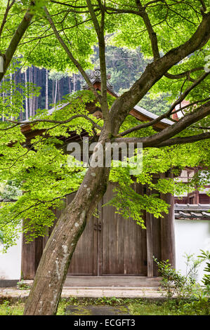 Das Äußere von Shoden-JI, einem buddhistischen Zen-Tempel, der tief in den Wäldern am Rande von Kyoto, Japan, liegt Stockfoto