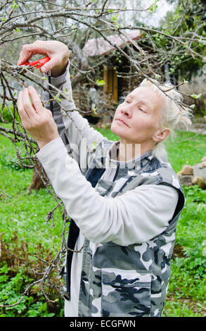 Frau schneidet einen Zweig an einem Apfelbaum einen Frühling im Garten Stockfoto
