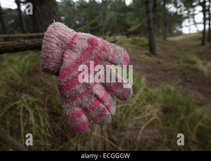 Ein vergessenes Kind Handschuh hing an einem Ast, jemand es finden zu helfen. Stockfoto