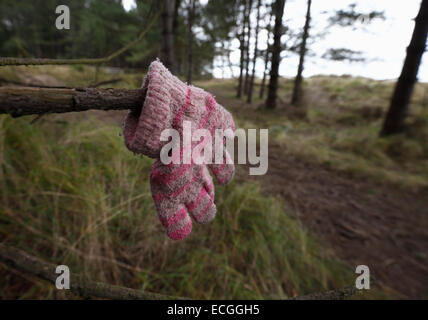 Ein vergessenes Kind Handschuh hing an einem Ast, jemand es finden zu helfen. Stockfoto