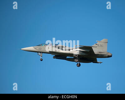 Schwedische Saab Gripen Flugzeug Schwanzflosse serielle 836 Annäherung an RAF Lossiemouth.  SCO 9360. Stockfoto