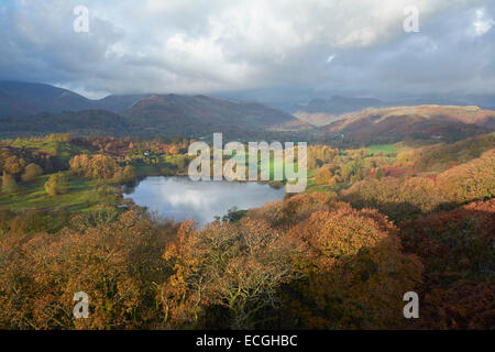 Blick über Loughrigg Tarn in Richtung Langdale - See Disitrct, England, UK Stockfoto