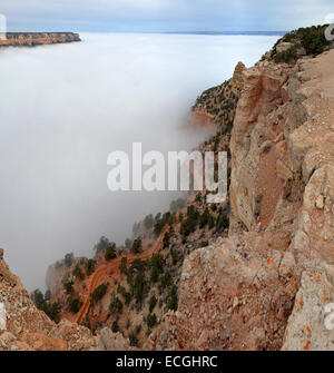 Insgesamt Wolke Inversion Blick hinunter auf den South Kaibab Trail am Südrand 11. Dezember 2014 in Grand Canyon Nationalpark in Arizona. Das seltene Phänomen entsteht, wenn der Boden verliert Wärme rasch im Morgengrauen einen kühle, feuchte Luft im Inneren der Schlucht unter dem ungewöhnlich warmen Himmel über den Canyonwänden abfangen und füllt den Raum mit einem Meer von Nebel-Layer erstellen. Park-Beamte sagten, das Phänomen einer einmal im Jahrzehnt vorkommt. Stockfoto