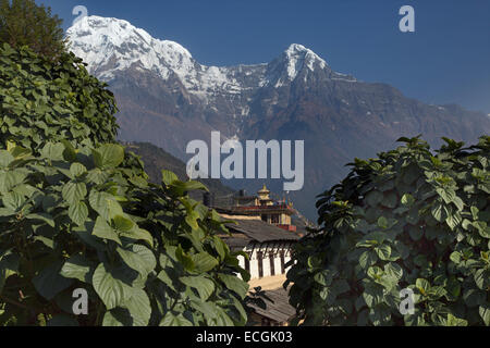 Der Berg Annapurna und Machhapuchchhre oder Fishtail Berg aus dem Dorf Ghandruk in den Modi Khola-Tal Stockfoto