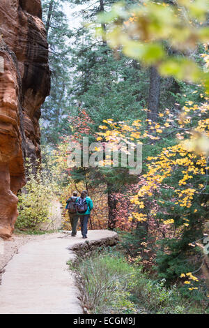 Zion Nationalpark Utah - 13 November: Wanderer auf dem Trail Angels Landing im Zion National Park. 13. November 2014 in Zion NP, U Stockfoto