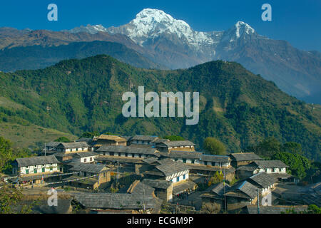 Der Berg Dorf von Ghandruk in den Modi Khola Tal rund 2000 Meter mit Annapurna South und Fishtail in Ferne Stockfoto