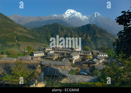 Der Berg Dorf von Ghandruk in den Modi Khola Tal rund 2000 Meter mit Annapurna South und Fishtail Abstand Stockfoto