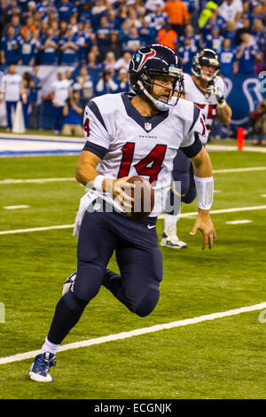 Indianapolis, Indiana, USA. 14. Dezember 2014. Houston Texans quarterback in der NFL-Spiel zwischen Houston Texans und Indianapolis Colts am 14. Dezember 2014 Ryan Fitzpatrick (14) läuft mit dem Ball. Houston Texans 10 - Indianapolis Colts 17. Bildnachweis: Cal Sport Media/Alamy Live-Nachrichten Stockfoto