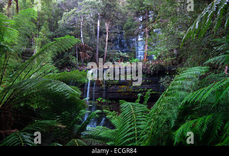 Russell verliebt sich in Mt. Field National Park, Tasmanien, Australien Stockfoto