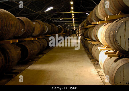 Glen Moray Whisky-Destillerie, Elgin, Moray, Aberdeenshire, Schottland, Vereinigtes Königreich, Europa Stockfoto