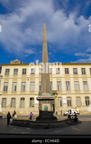 Platzieren Sie De La Republique, Arles, Bouches du Rhone, Provence, Frankreich, Europa Stockfoto