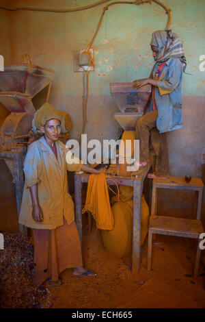 Frauen arbeiten in einer Berbere Paprika Gewürz Fabrik auf dem Medebar Markt, Asmara, Eritrea Stockfoto