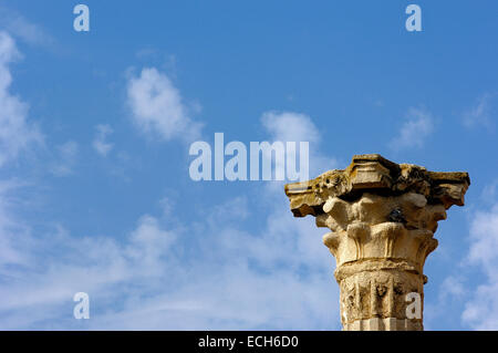 Ruinen der Diana Tempel in der alten römischen Stadt Emerita Augusta, Merida, Badajoz Provinz, Ruta de La Plata, Spanien, Europa Stockfoto