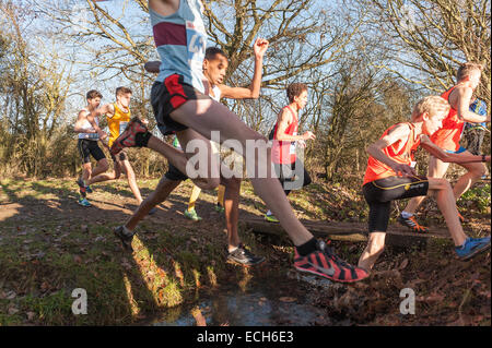 Auswahl von kleinen schmalen Steg oder springen, springen die nassen, schlammigen Graben in einem nationalen cross county Championship Rennen Stockfoto