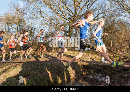 Auswahl von kleinen schmalen Steg oder springen, springen die nassen, schlammigen Graben in einem nationalen cross county Championship Rennen Stockfoto