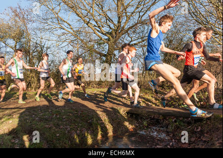 Auswahl von kleinen schmalen Steg oder springen, springen die nassen, schlammigen Graben in einem nationalen cross county Championship Rennen Stockfoto