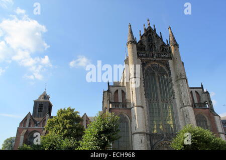 Hooglandse Kerk, eine wichtige gotische Kirche in Leiden, Niederlande, aus dem fünfzehnten Jahrhundert. -Leiden Sammlung Stockfoto