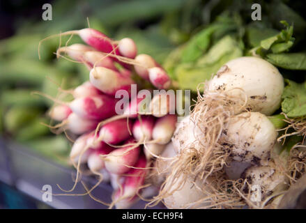 Ein paar Radieschen und Frühlingszwiebeln in einem Bio-Supermarkt UK Stockfoto