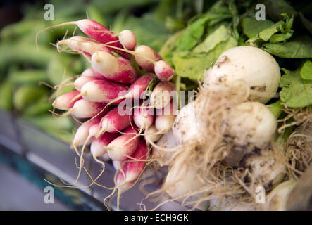 Ein paar Radieschen und Frühlingszwiebeln in einem Bio-Supermarkt UK Stockfoto