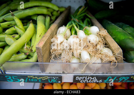 Frühlingszwiebeln, Dicke Bohnen (links) und Gurken in einem Bio-Supermarkt UK Stockfoto