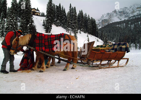 Italien, Cortina d ' Ampezzo: Paar in der Weihnachtszeit auf Schlitten Pferd über den zugefrorenen See sitzen unter Decken im Winter auf Schnee Stockfoto