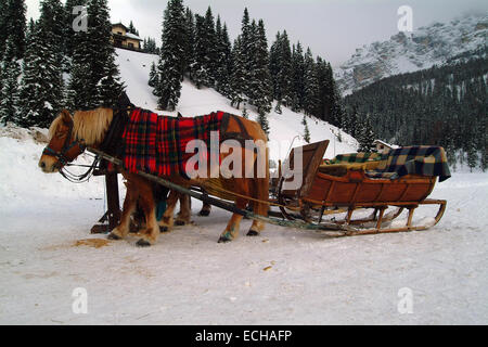 Italien, Cortina d ' Ampezzo: Paar in der Weihnachtszeit auf Schlitten Pferd über den zugefrorenen See sitzen unter Decken im Winter auf Schnee Stockfoto