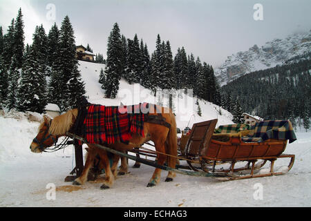 Italien, Cortina d ' Ampezzo: Paar in der Weihnachtszeit auf Schlitten Pferd über den zugefrorenen See sitzen unter Decken im Winter auf Schnee Stockfoto