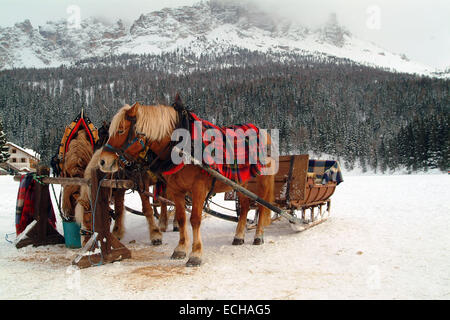 Italien, Cortina d ' Ampezzo: Paar in der Weihnachtszeit auf Schlitten Pferd über den zugefrorenen See sitzen unter Decken im Winter auf Schnee Stockfoto