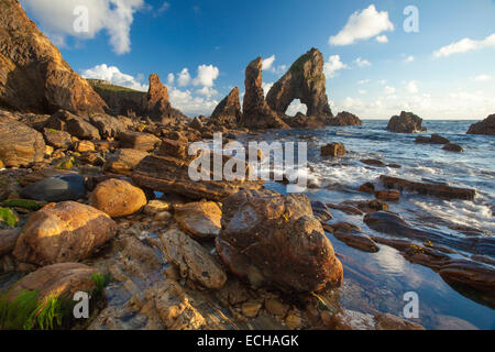 Abendlicht auf die Felsformationen der Crohy Head, County Donegal, Irland. Stockfoto